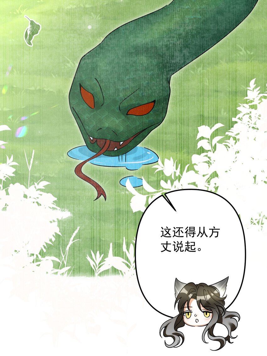 050 禁止投喂我的猫！11