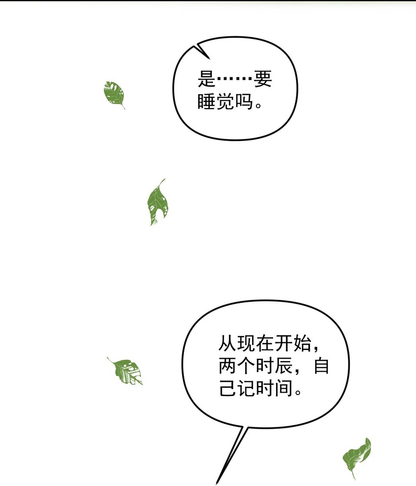 052 我也开始喜欢猫了42