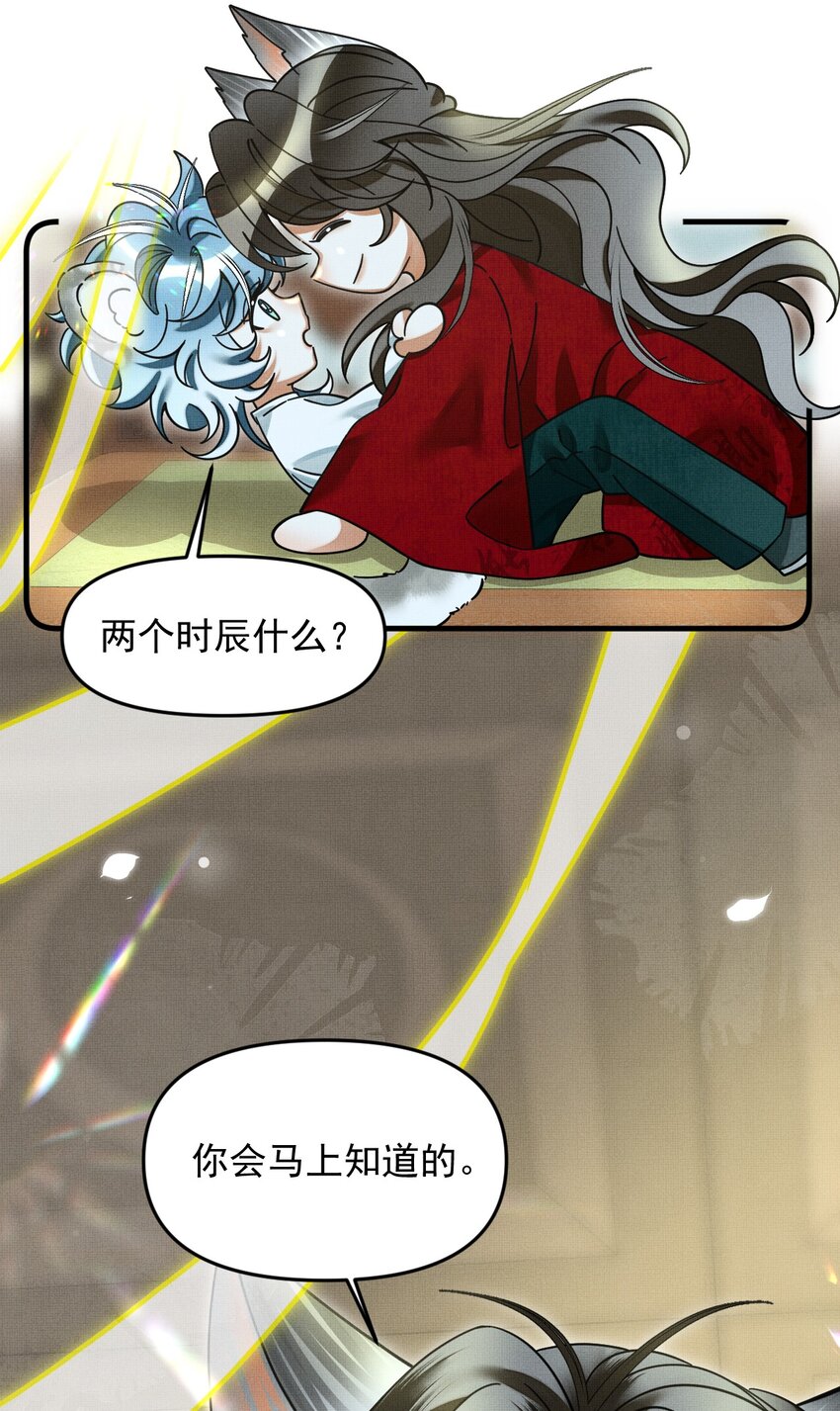 052 我也开始喜欢猫了43