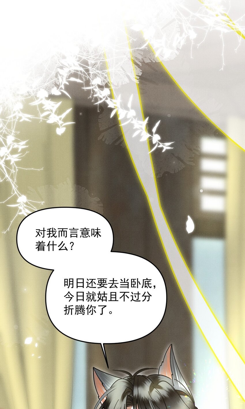 052 我也开始喜欢猫了40