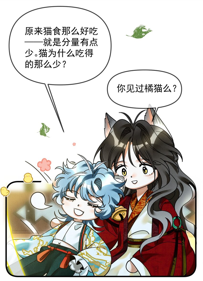 052 我也开始喜欢猫了27
