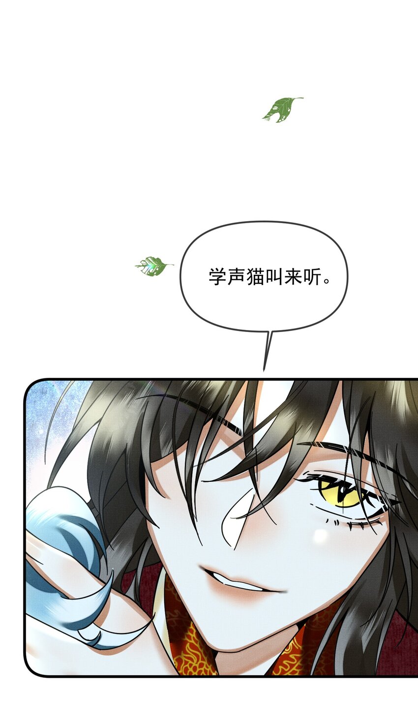 052 我也开始喜欢猫了21