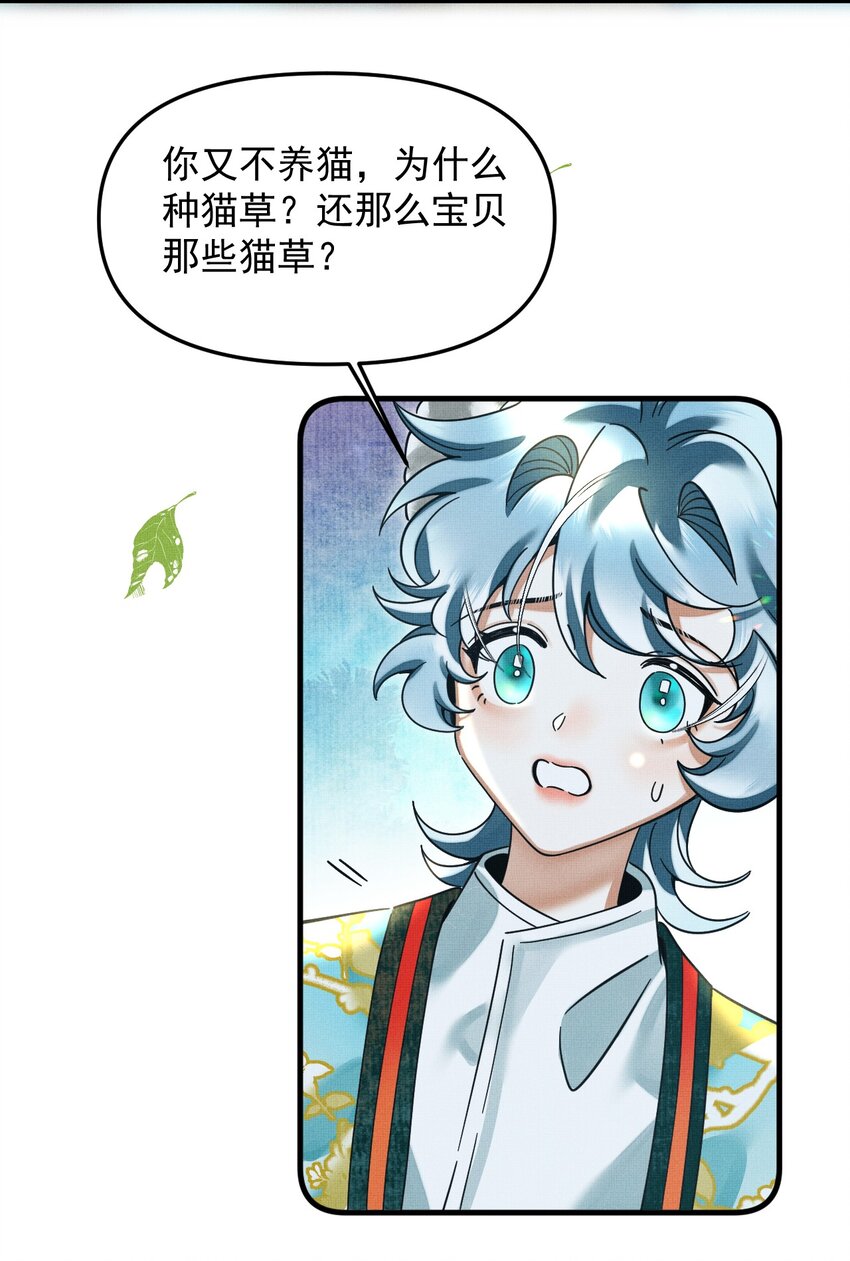 049 他种了好多猫草诶～？45