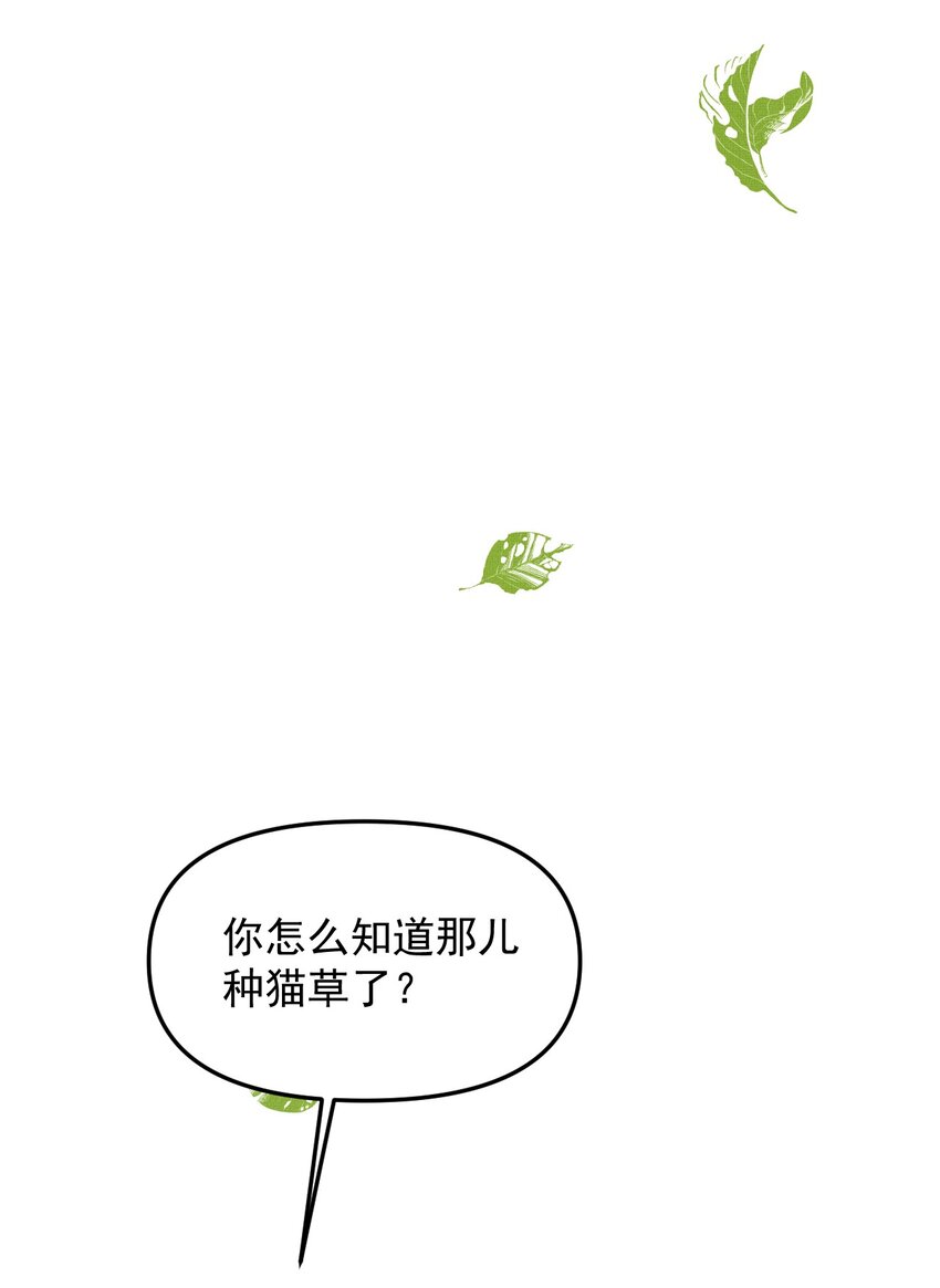 049 他种了好多猫草诶～？41
