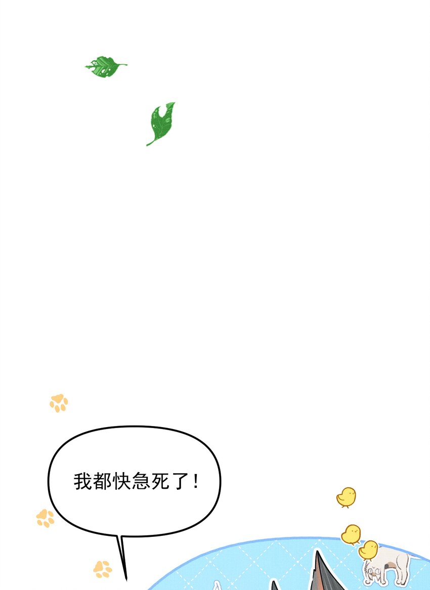 047 椒美人，保密，保密！47