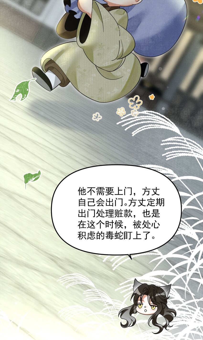050 禁止投喂我的猫！15