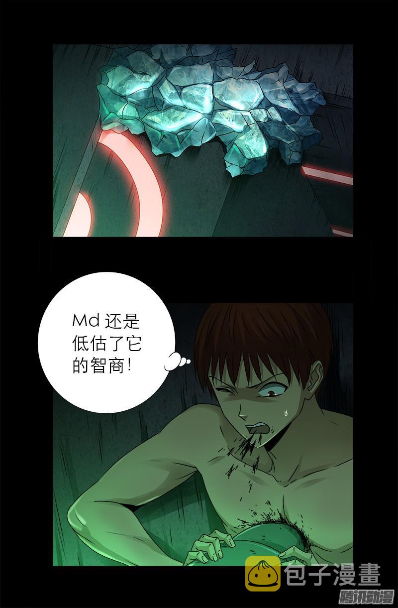 第291话 高智商很危险14