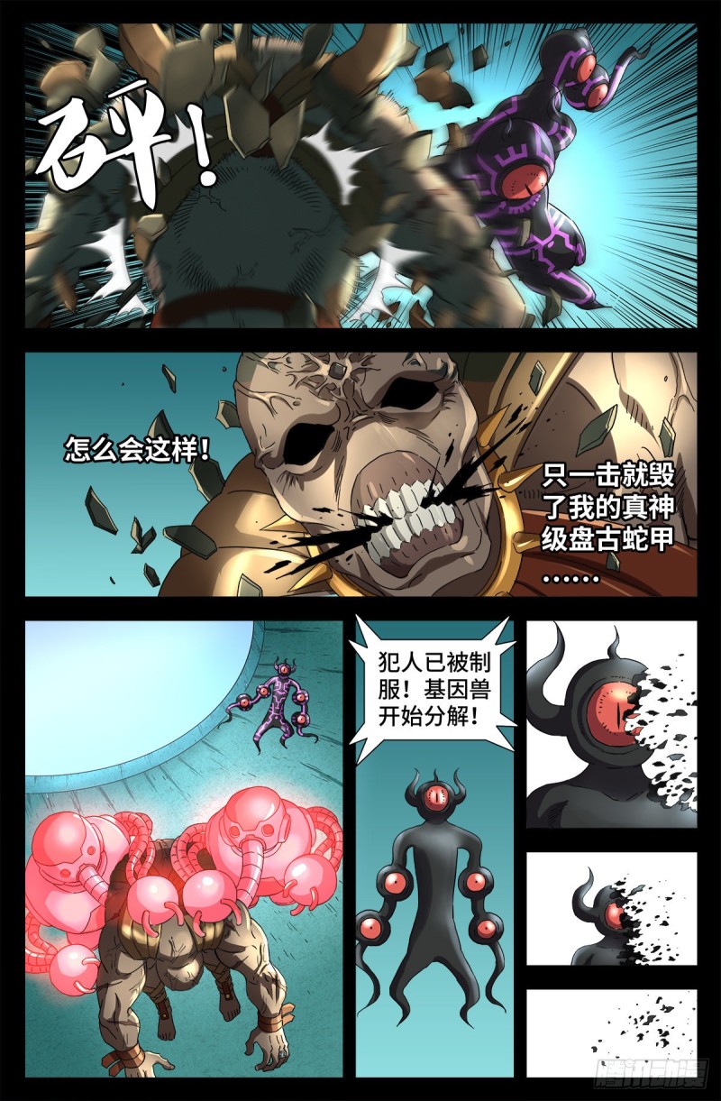 第690话 合欢花3