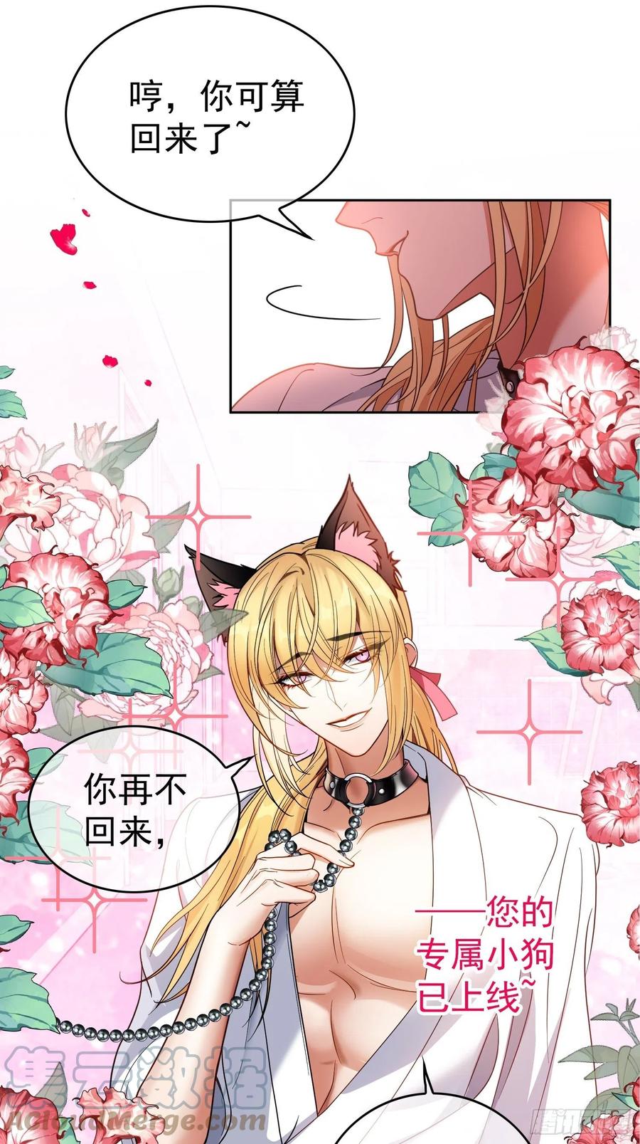 62 你的专属小狗上线22