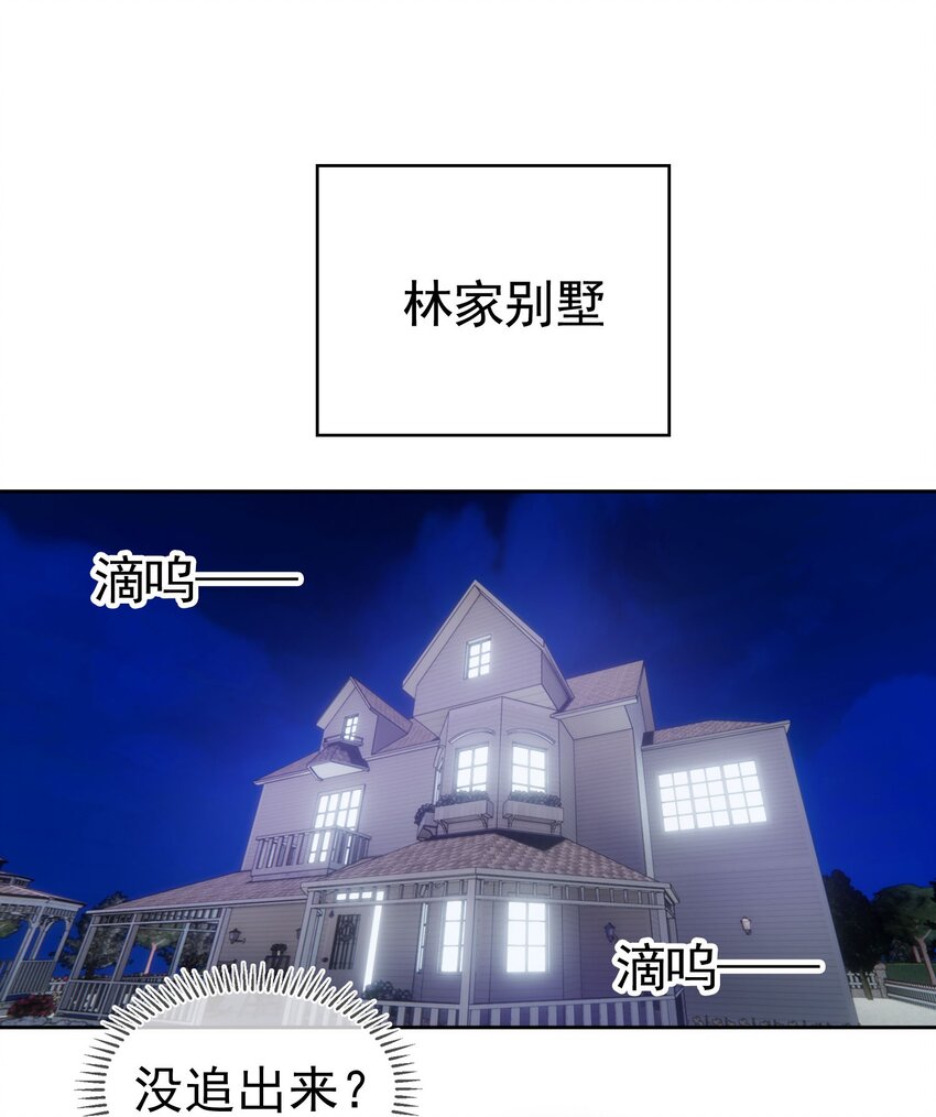 85 对月思春的野猫22