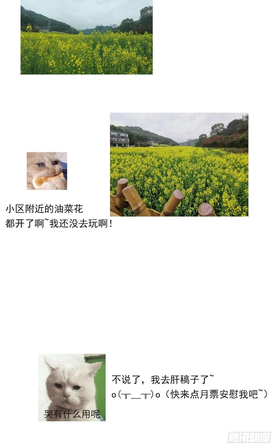 022 秘密基地31