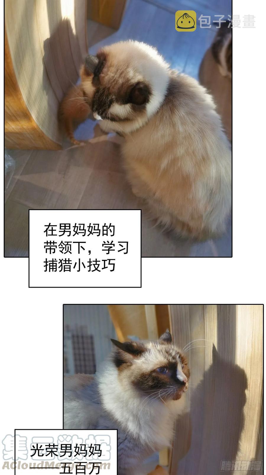 43 幸好受伤的不是你34