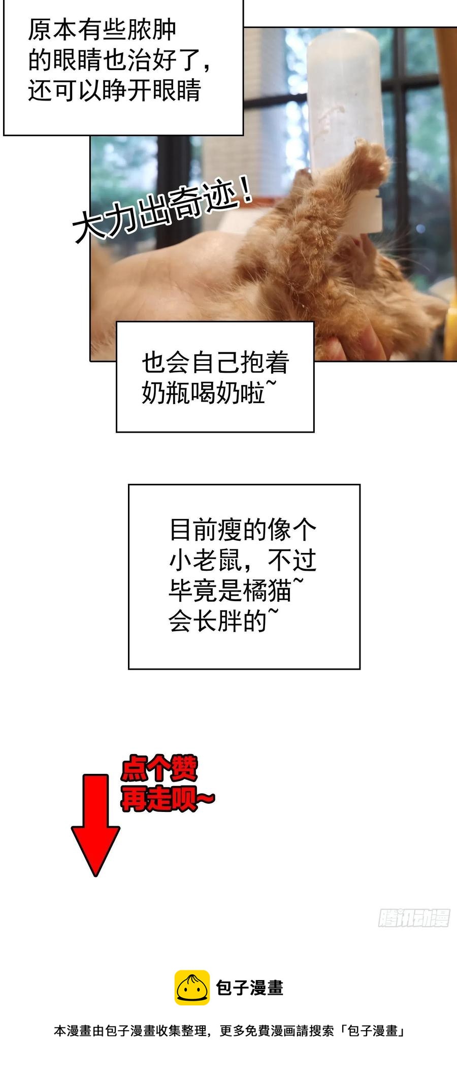 42 我才没有害怕呢！27