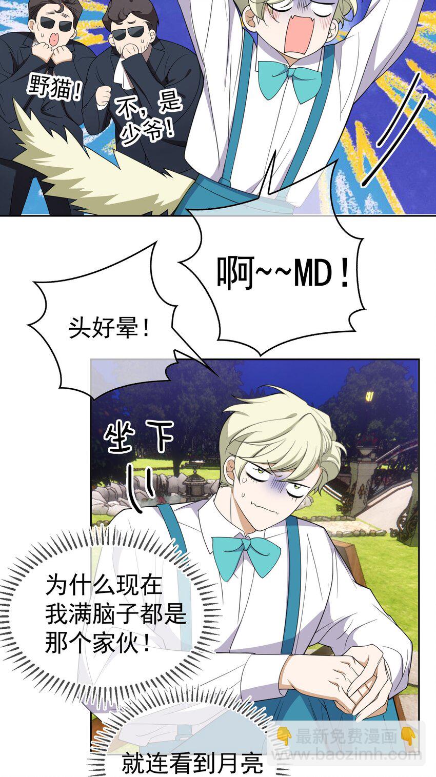 85 对月思春的野猫2