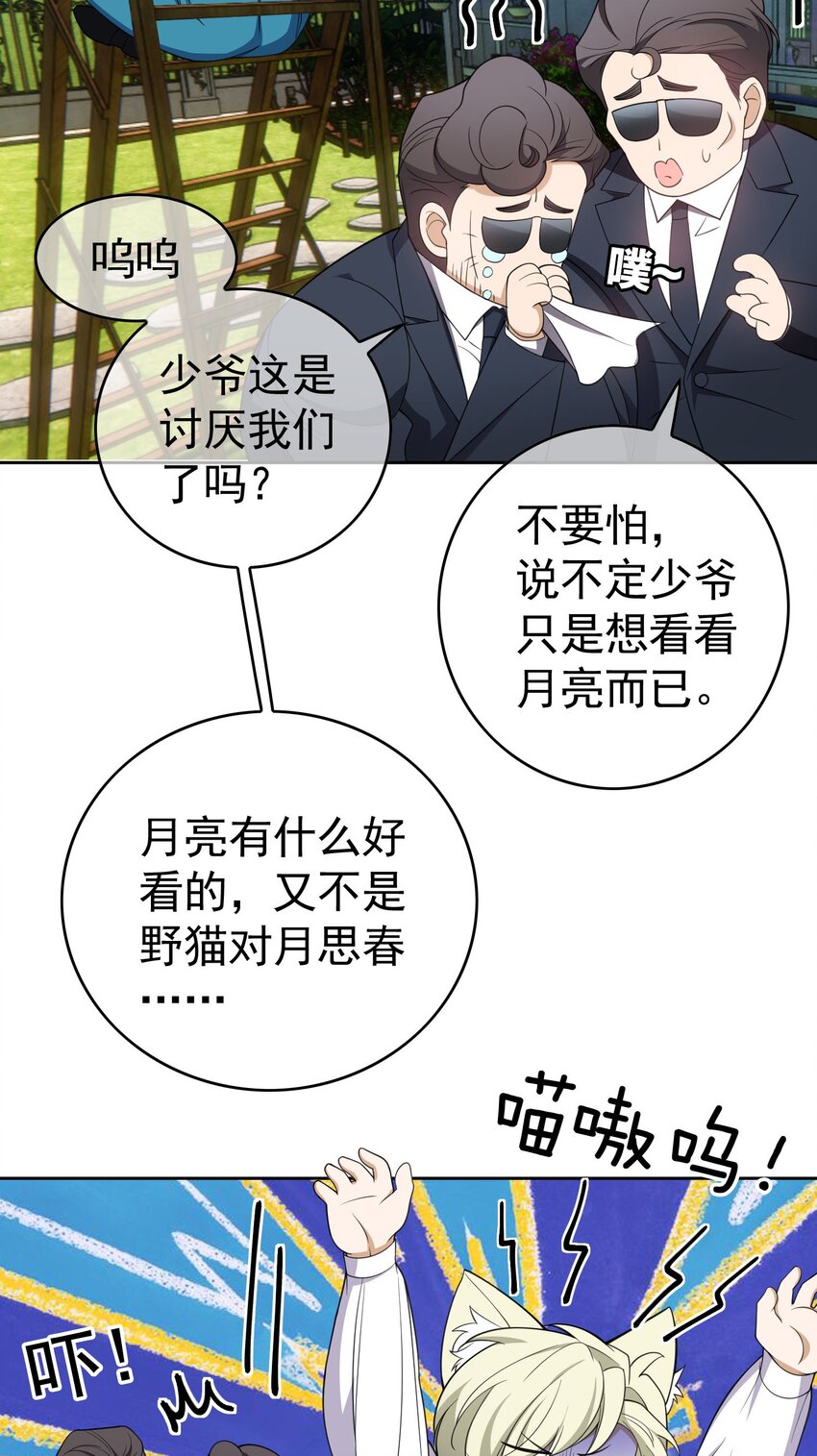 85 对月思春的野猫1