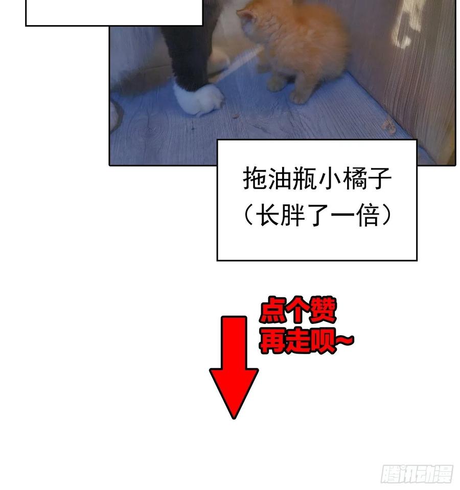43 幸好受伤的不是你35