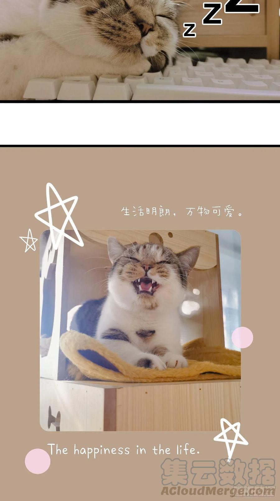 020 教训56