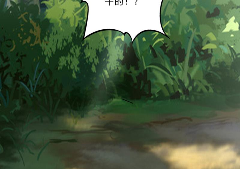 谁敢再上前一步！2