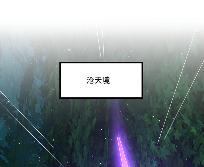 要我修炼雷电法则？33