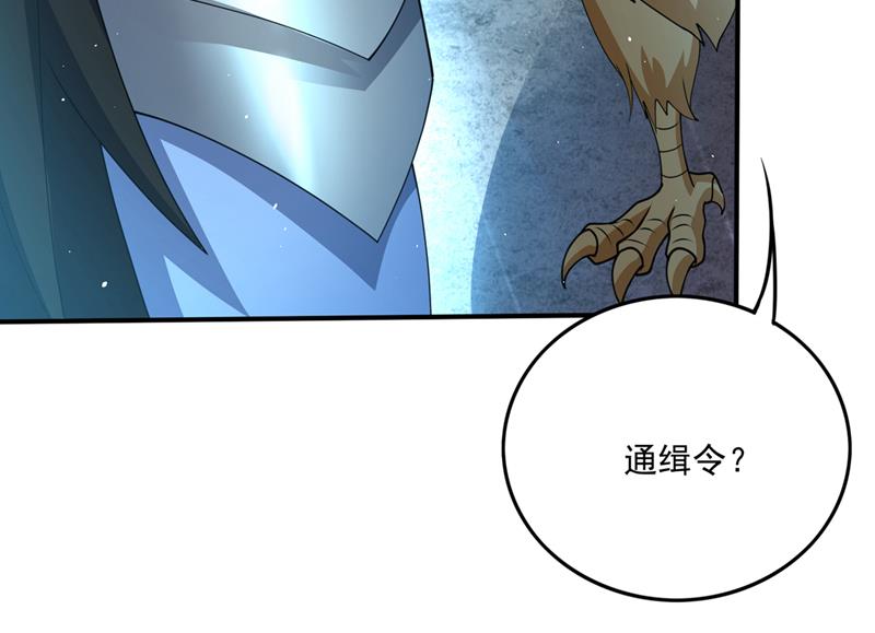 又一对翅膀？！20