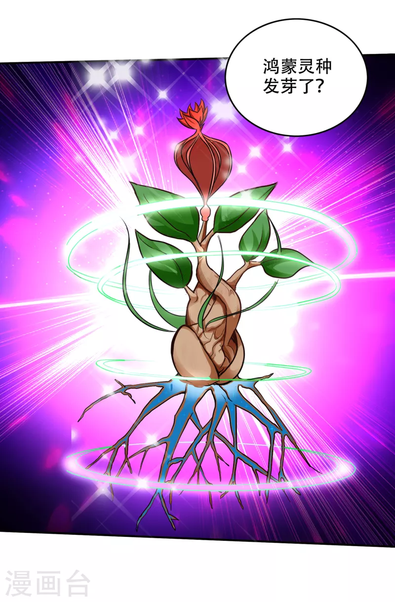 第213话 鸿蒙灵种发芽了28