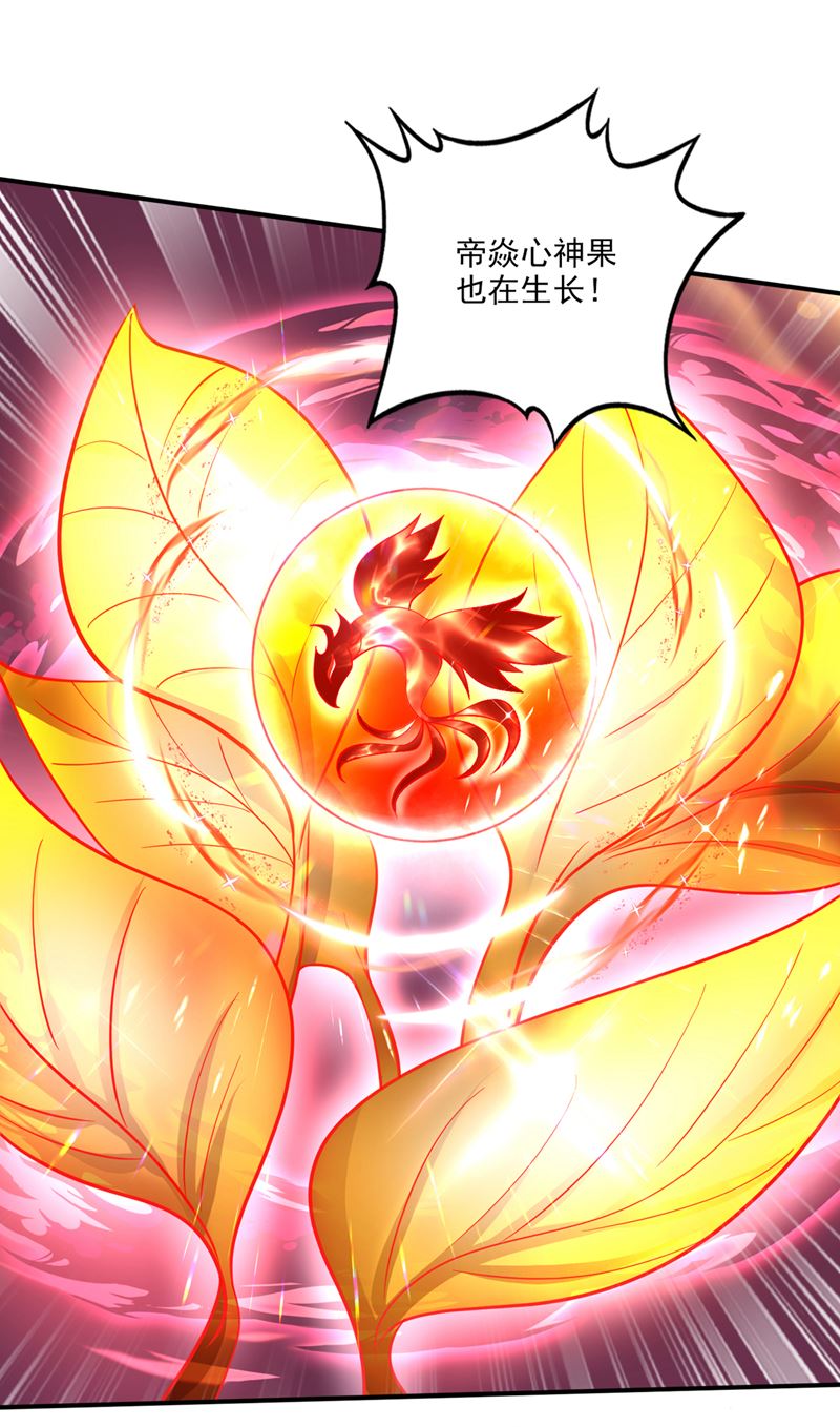 吞噬血芒图20