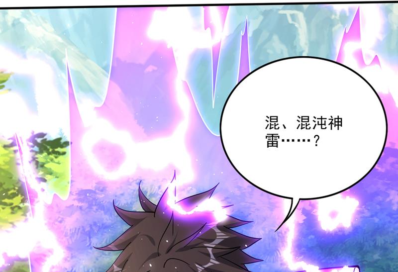 要我修炼雷电法则？76