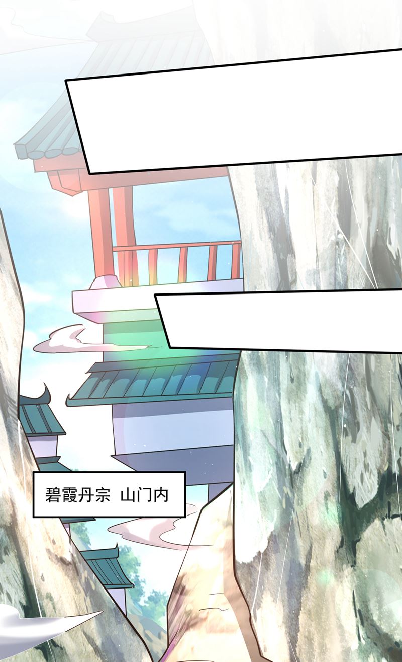 你是…星纹白熊？6