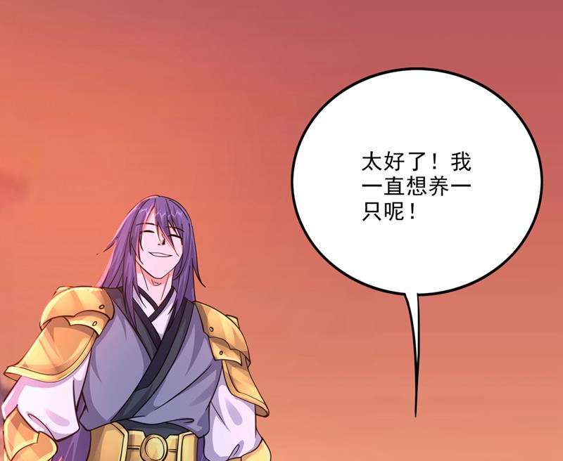 灵舟兽演？53