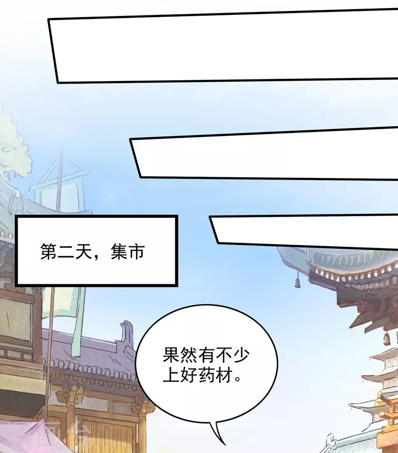 第243话 无需炉火就能炼药？28