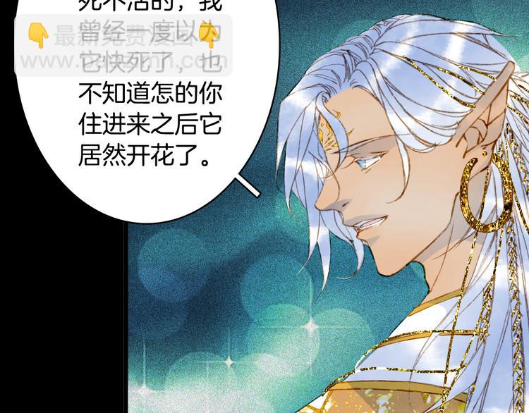 第89话  冥魂之咒79