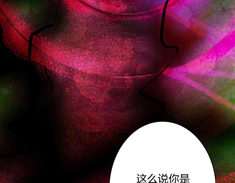 第104话  私生子60