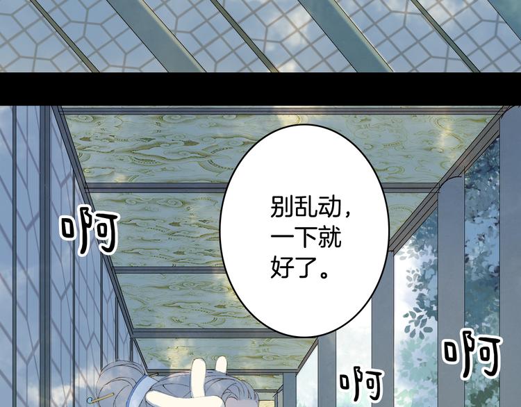 第46话  继承26