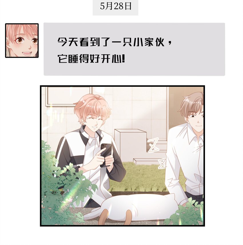 018 你喜欢什么样的人6