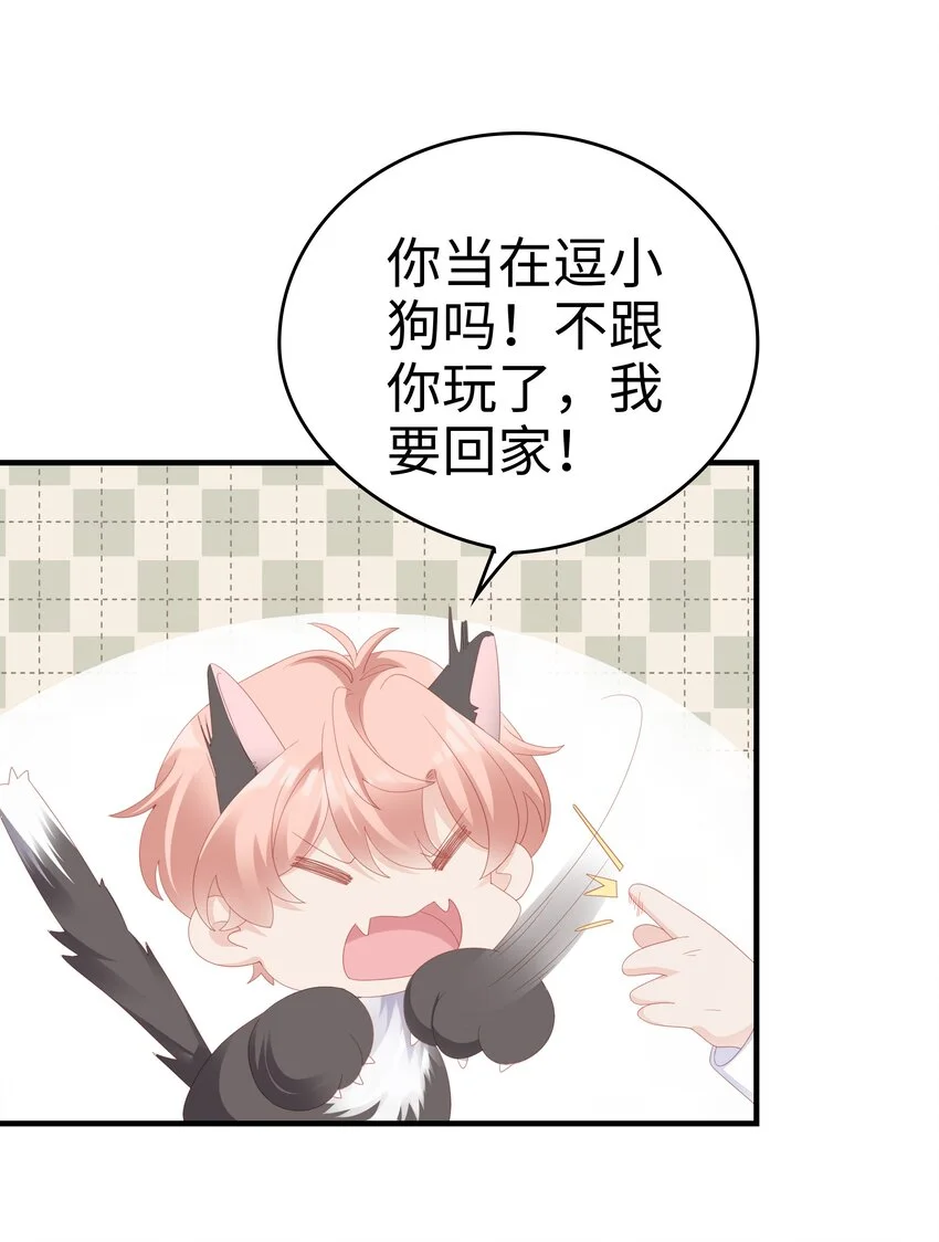 028 我败给你了15