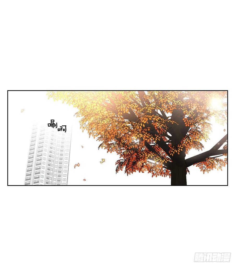 65.妈妈的婚礼17