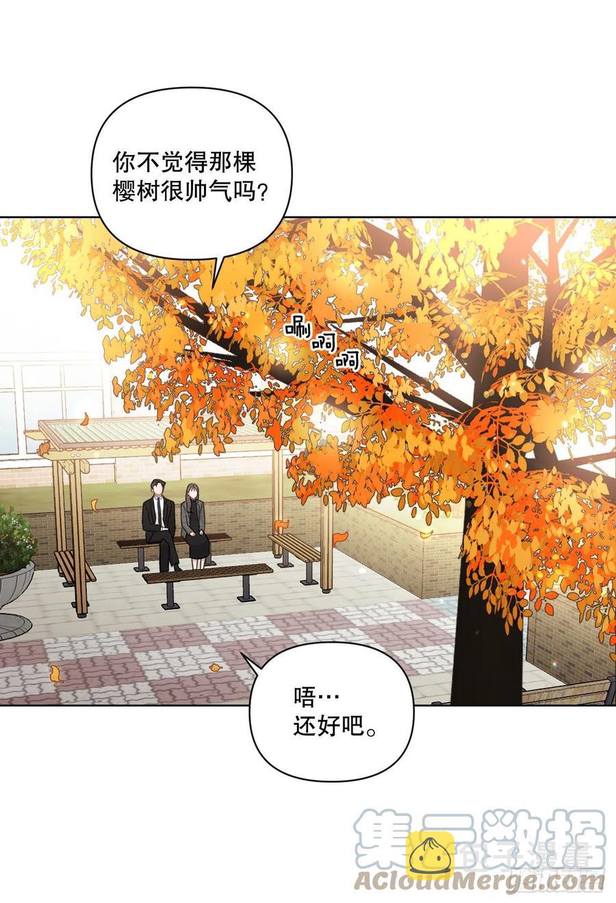 65.妈妈的婚礼18
