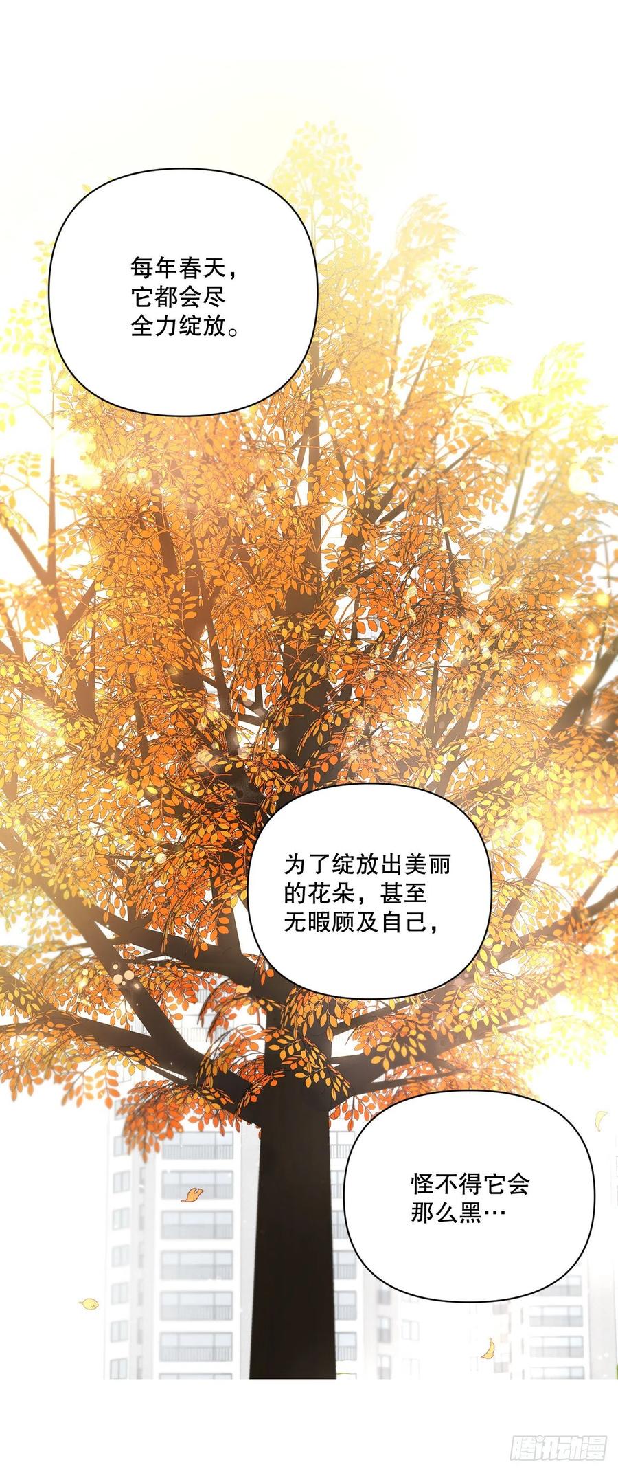 65.妈妈的婚礼19
