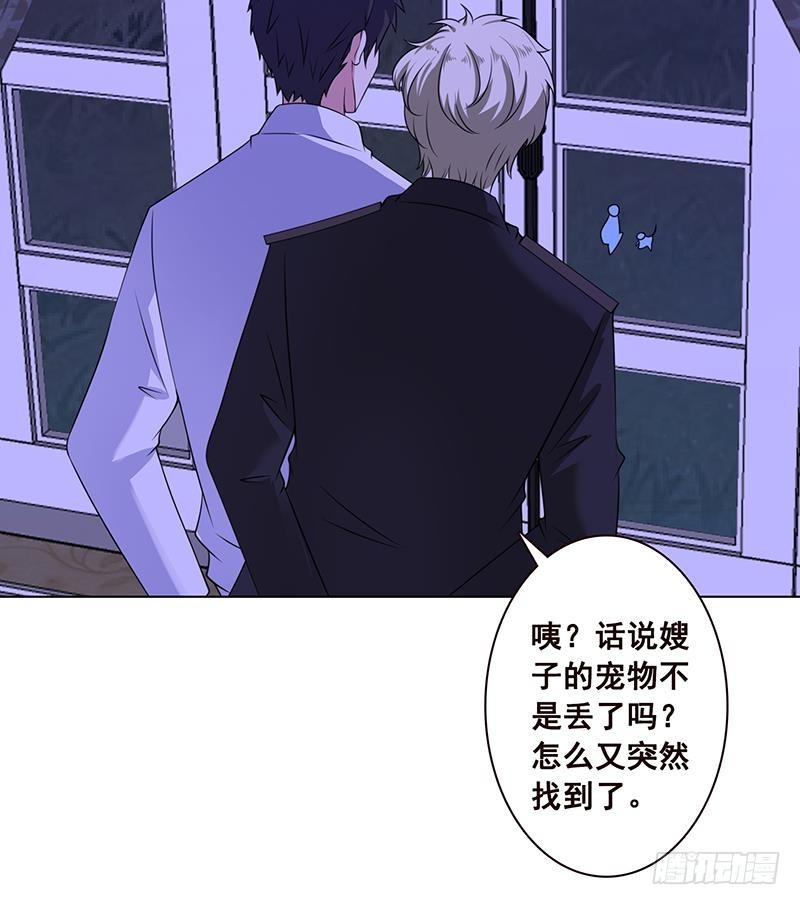 第75话 七七变大了！21