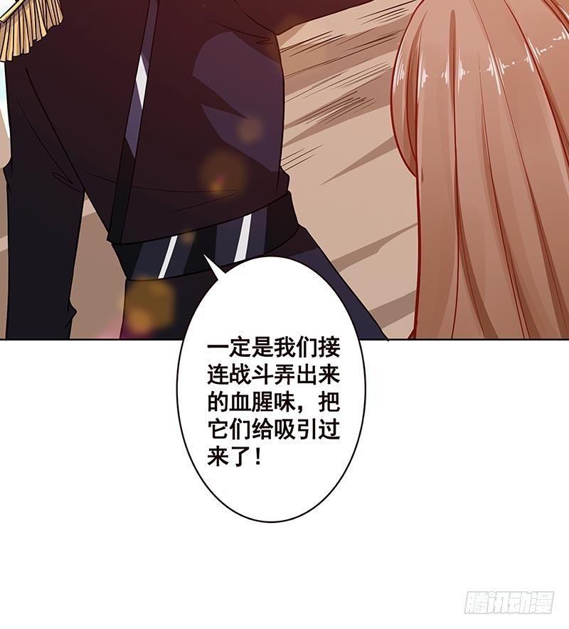 第177话 为什么追我9