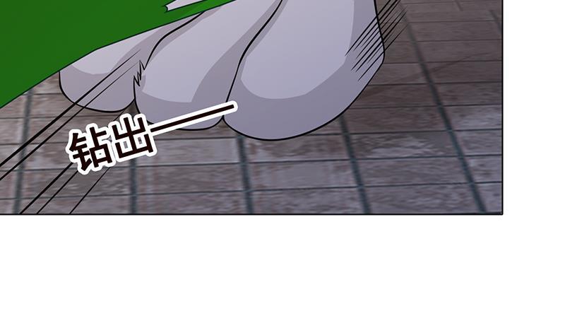 第305话 无差别射杀14