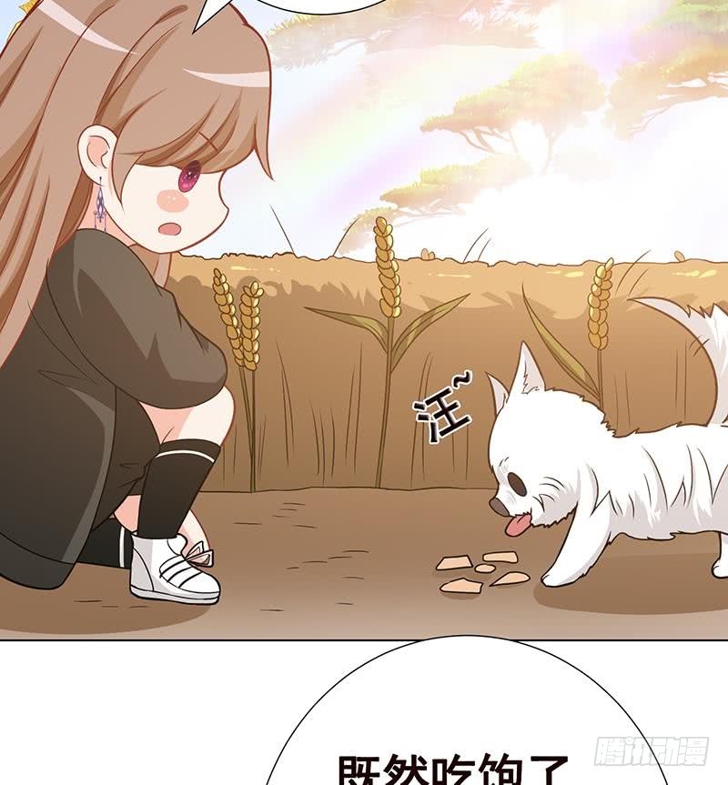 第141话 女人的战争43