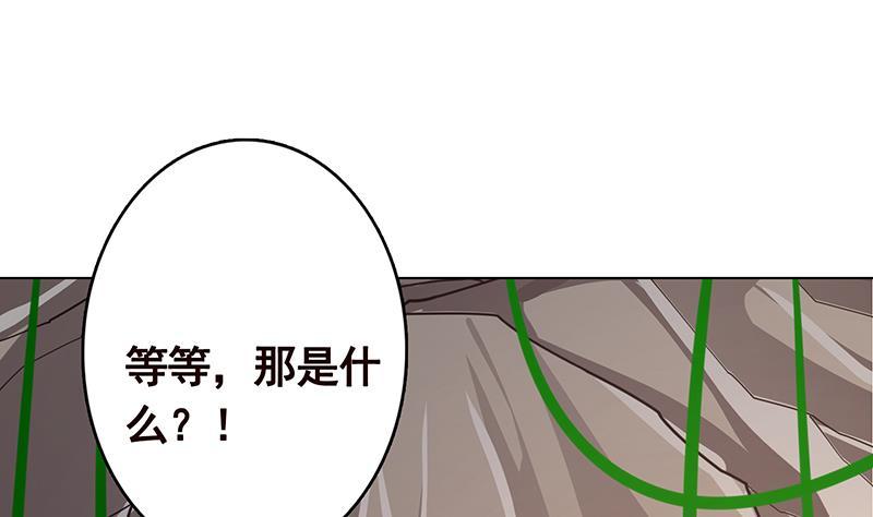 第308话 另有计划34