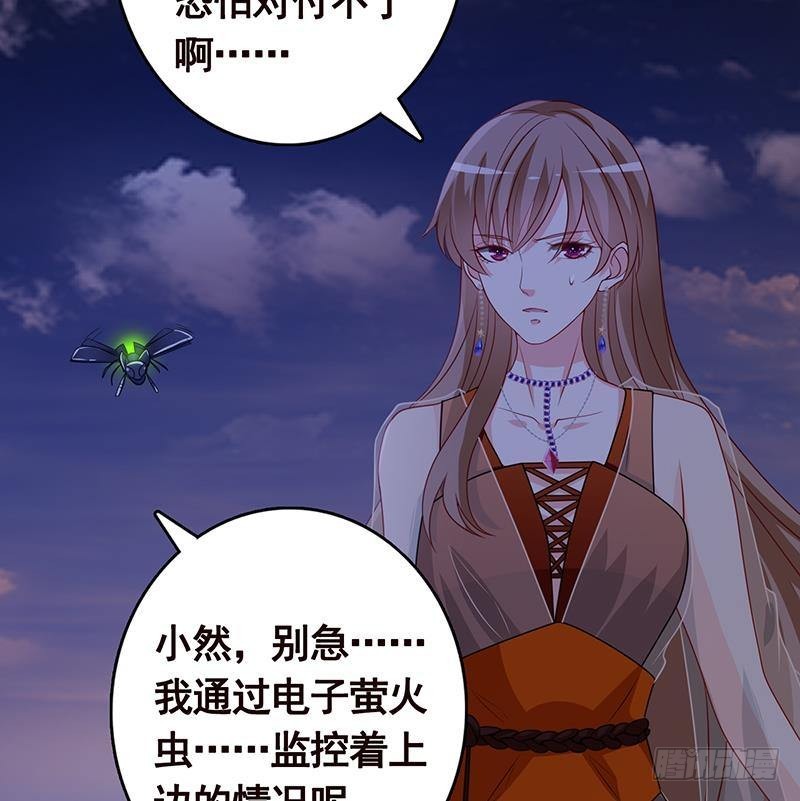 第238话 Z的秘密52