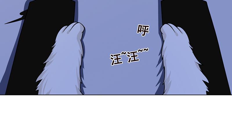 第288话 真·舔狗18