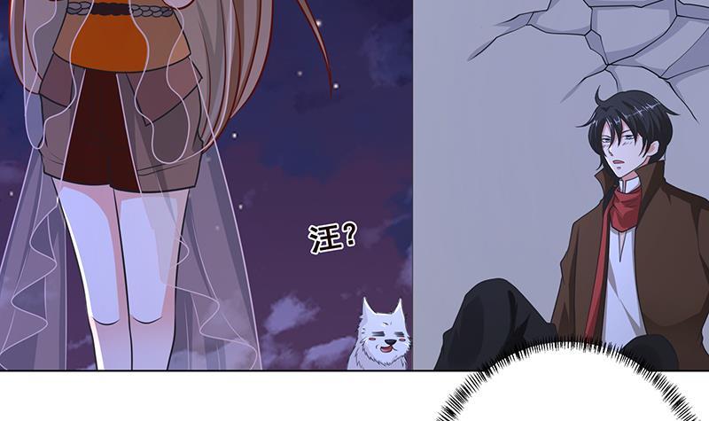第288话 真·舔狗24