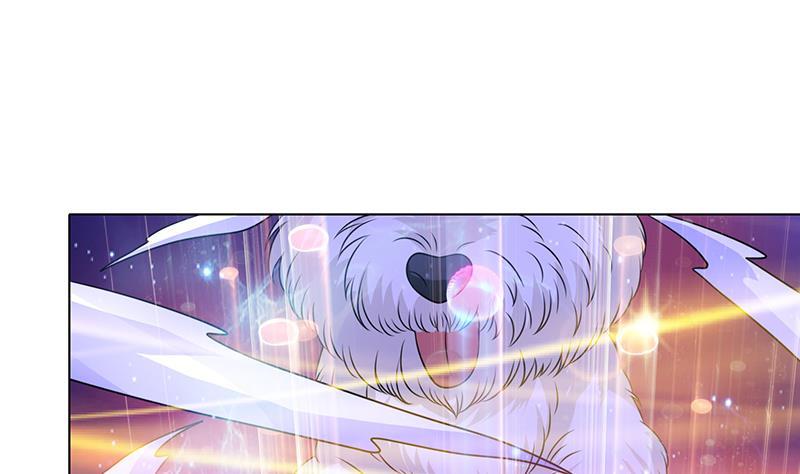 第75话 七七变大了！7
