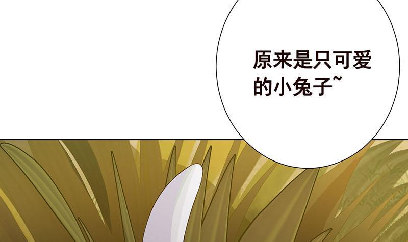 第317话 诱杀66