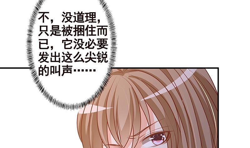第247话 千秋雪之死43