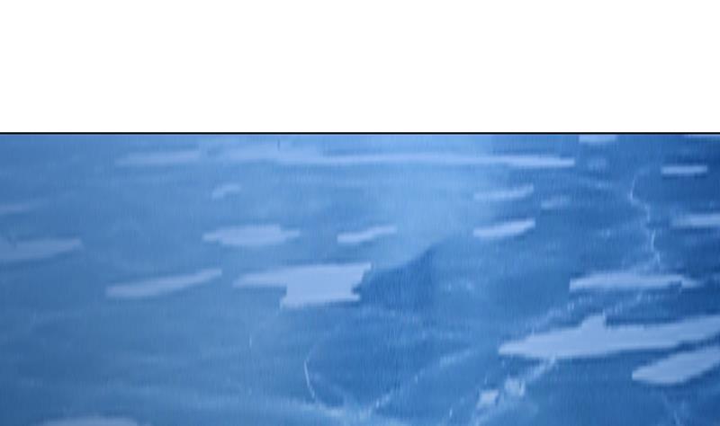 第235话 不死之身17